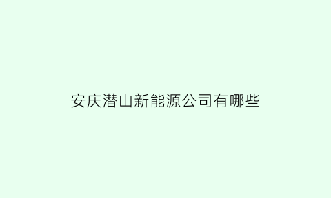 安庆潜山新能源公司有哪些