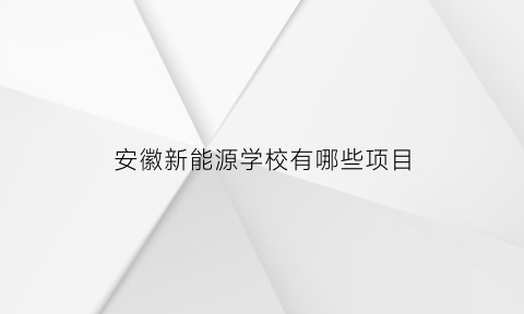 安徽新能源学校有哪些项目