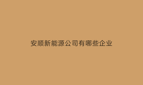 安顺新能源公司有哪些企业