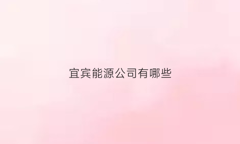 宜宾能源公司有哪些