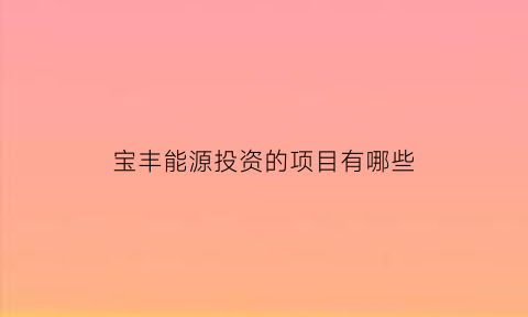 宝丰能源投资的项目有哪些