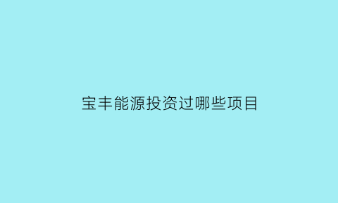 宝丰能源投资过哪些项目(宝丰能源概况)