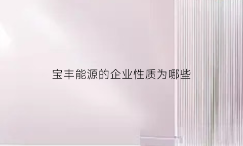 宝丰能源的企业性质为哪些