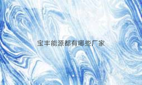 宝丰能源都有哪些厂家