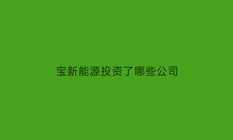 宝新能源投资了哪些公司