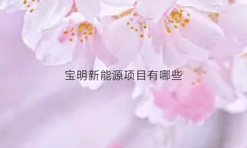 宝明新能源项目有哪些