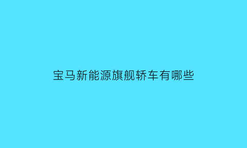 宝马新能源旗舰轿车有哪些(宝马旗下新能源品牌)