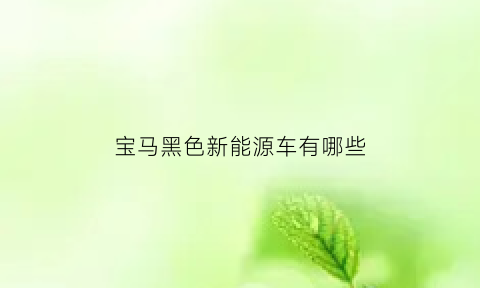 宝马黑色新能源车有哪些(宝马黑色新能源车有哪些车型)