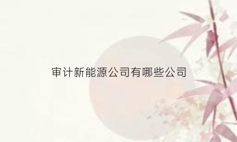 审计新能源公司有哪些公司(新能源企业审计)