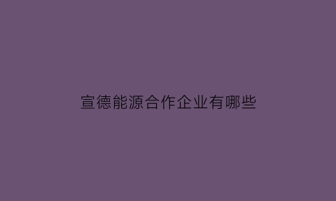 宣德能源合作企业有哪些