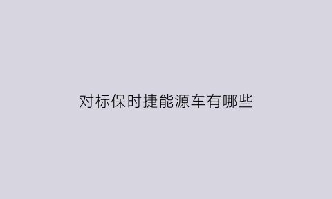 对标保时捷能源车有哪些