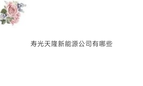 寿光天隆新能源公司有哪些