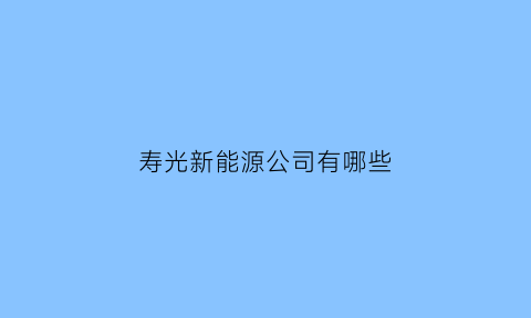 寿光新能源公司有哪些