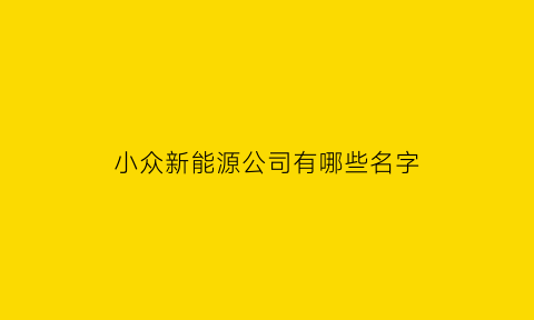 小众新能源公司有哪些名字