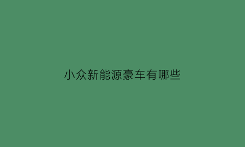 小众新能源豪车有哪些(小众新能源豪车有哪些车型)