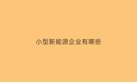 小型新能源企业有哪些