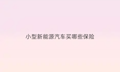 小型新能源汽车买哪些保险