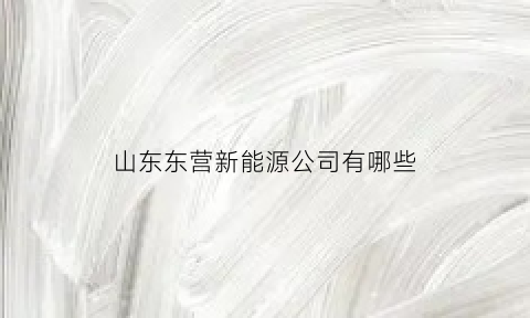 山东东营新能源公司有哪些