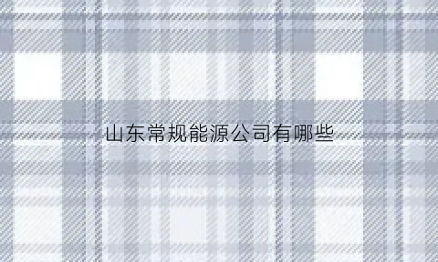 山东常规能源公司有哪些