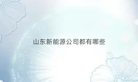 山东新能源公司都有哪些