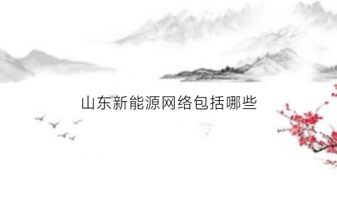 山东新能源网络包括哪些