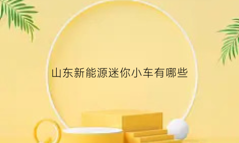 山东新能源迷你小车有哪些(山东生产的电动小汽车)