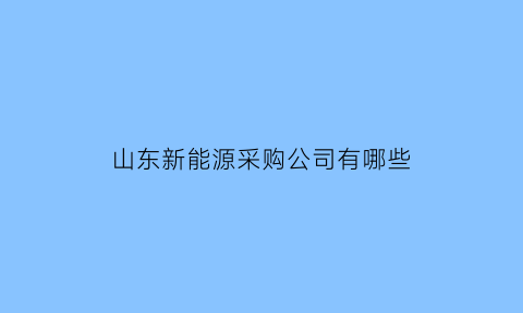 山东新能源采购公司有哪些