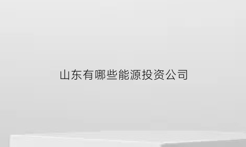 山东有哪些能源投资公司