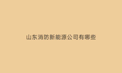 山东消防新能源公司有哪些