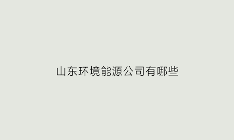 山东环境能源公司有哪些