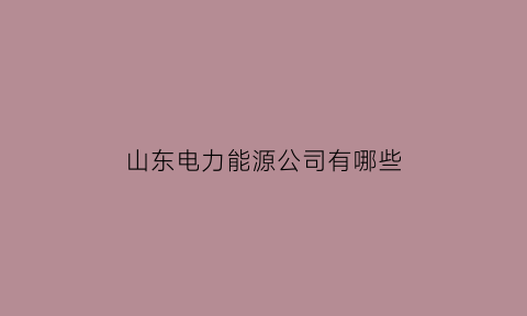 山东电力能源公司有哪些