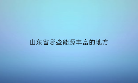 山东省哪些能源丰富的地方