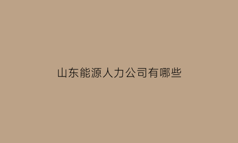 山东能源人力公司有哪些