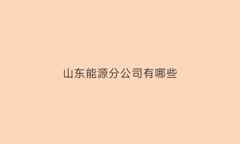 山东能源分公司有哪些