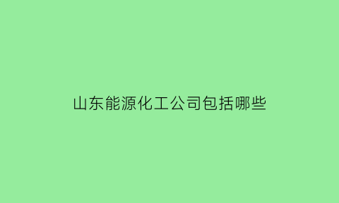 山东能源化工公司包括哪些