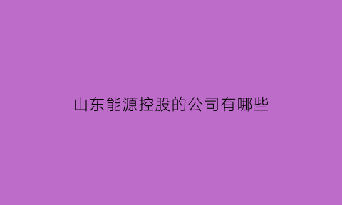 山东能源控股的公司有哪些