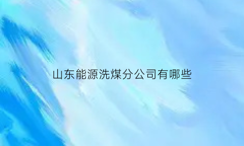 山东能源洗煤分公司有哪些