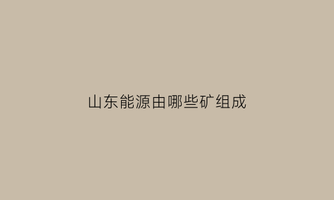 山东能源由哪些矿组成