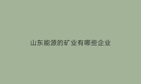 山东能源的矿业有哪些企业