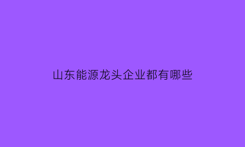 山东能源龙头企业都有哪些