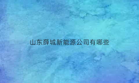 山东薛城新能源公司有哪些(薛城能源有限公司地址)