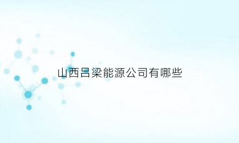 山西吕梁能源公司有哪些