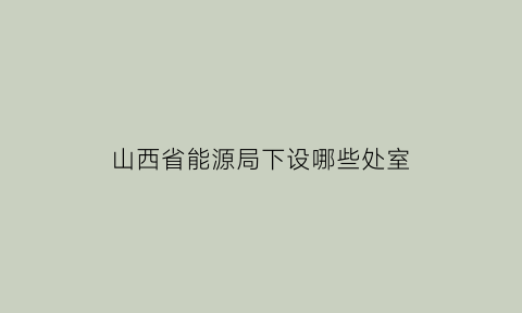 山西省能源局下设哪些处室