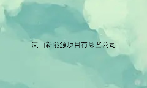 岚山新能源项目有哪些公司