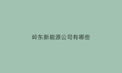 岭东新能源公司有哪些(岭东汽车商城)