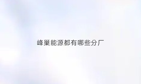 峰巢能源都有哪些分厂