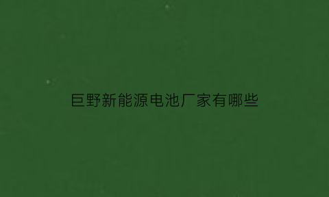 巨野新能源电池厂家有哪些