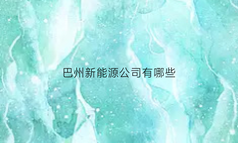 巴州新能源公司有哪些