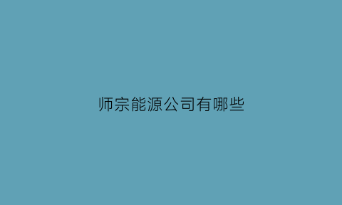 师宗能源公司有哪些