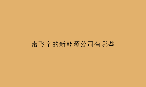 带飞字的新能源公司有哪些